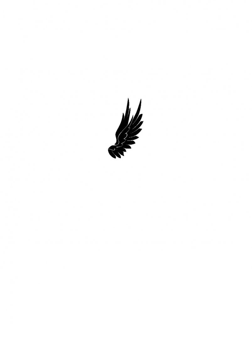 Иллюстрация 1 из 17 для Верни мои крылья! - Елена Вернер | Лабиринт - книги. Источник: Лабиринт