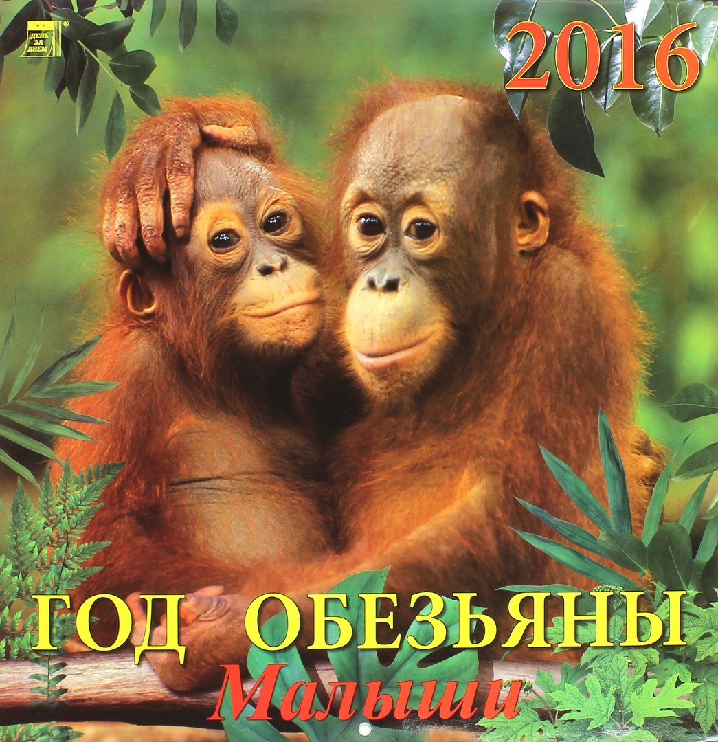Год обезьяны календари. Год обезьяны 2016. Календарь 2016 год обезьяны. Календарь с обезьянами 2016. Календарь на новый год 2016 год обезьяны.