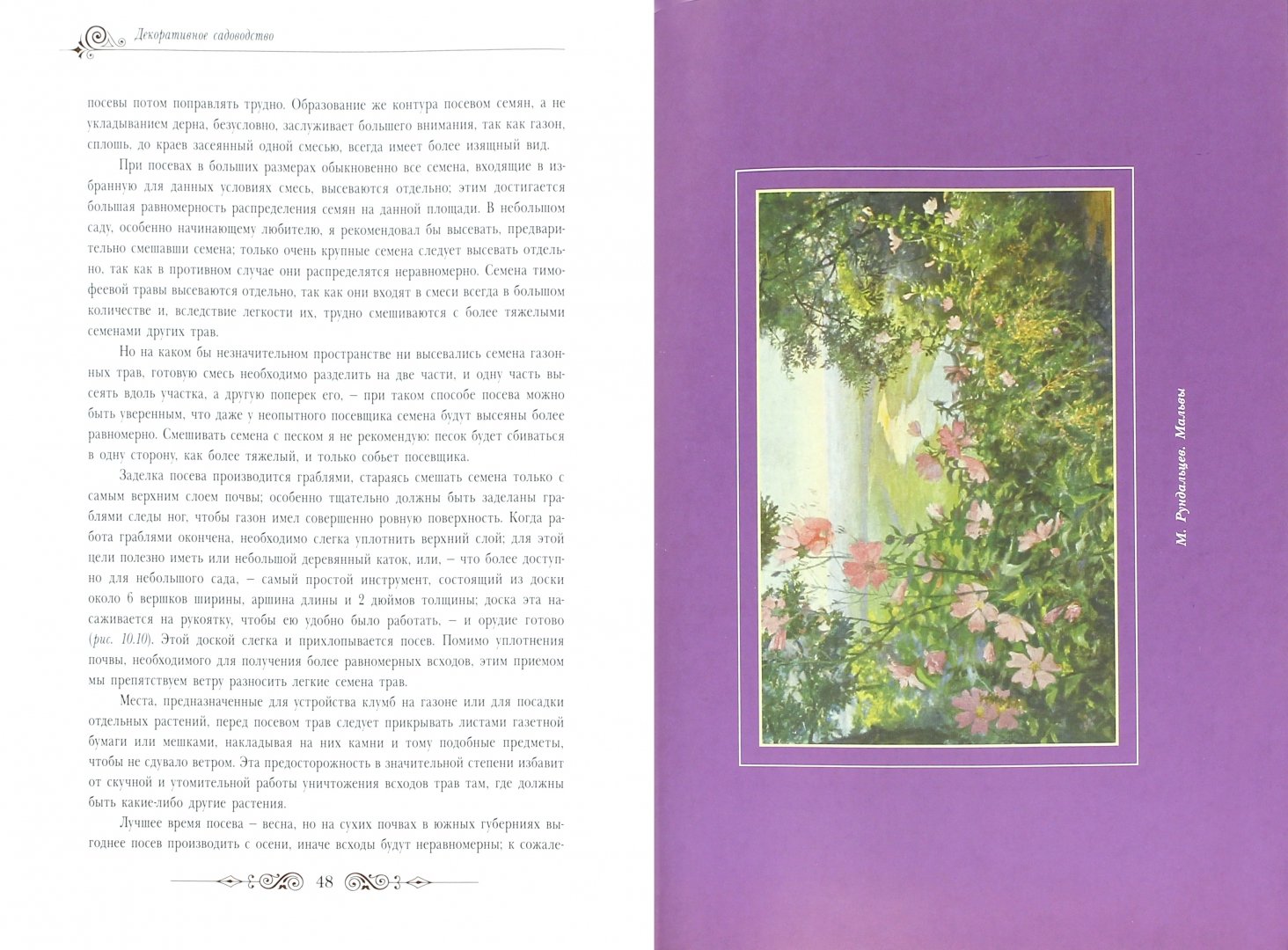 Иллюстрация 1 из 6 для Декоративное садоводство - Павел Штейнберг | Лабиринт - книги. Источник: Лабиринт