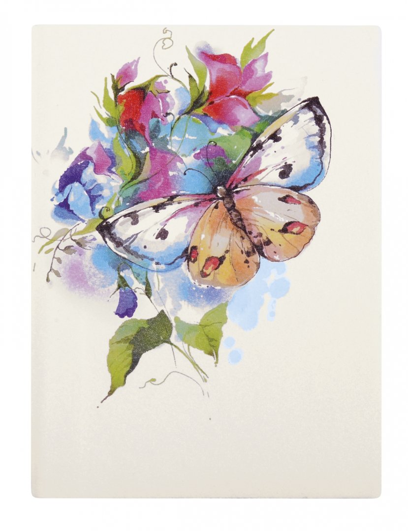 Иллюстрация 1 из 5 для Ежедневник недатированный "Бабочка" (160 листов, А6+) (45339) | Лабиринт - канцтовы. Источник: Лабиринт