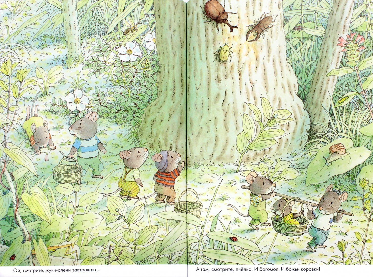 Иллюстрация 1 из 40 для 14 лесных мышей. Завтрак - Кадзуо Ивамура | Лабиринт - книги. Источник: Лабиринт
