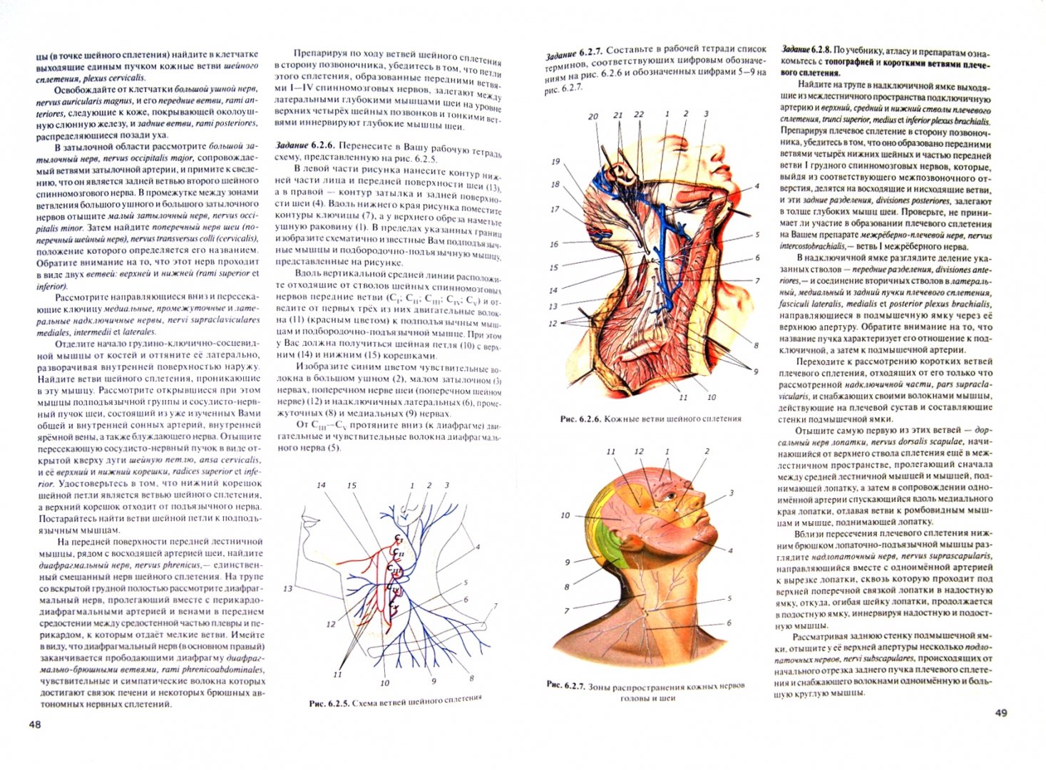 Иллюстрация 1 из 5 для Практикум по анатомии человека. Часть 4. Нервная система и органы чувств - Цыбулькин, Горская, Колесников | Лабиринт - книги. Источник: Лабиринт