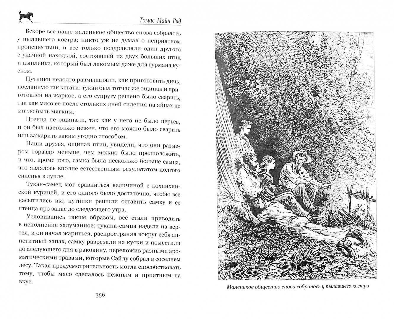 Иллюстрация 1 из 55 для Морской волчонок, или на дне трюма. Скитальцы Борнео, или Капитан Редвуд - Рид Майн | Лабиринт - книги. Источник: Лабиринт