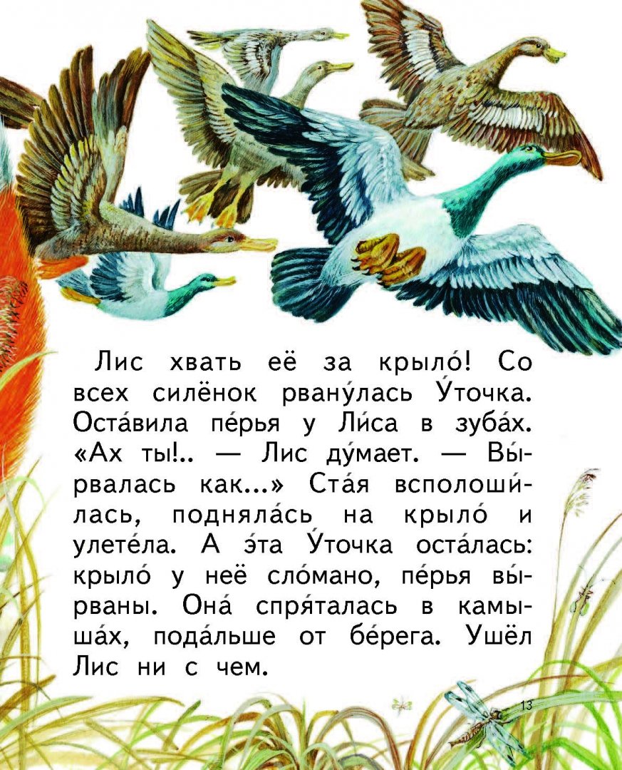 Иллюстрация 10 из 35 для Мастера без топора - Виталий Бианки | Лабиринт - книги. Источник: Лабиринт