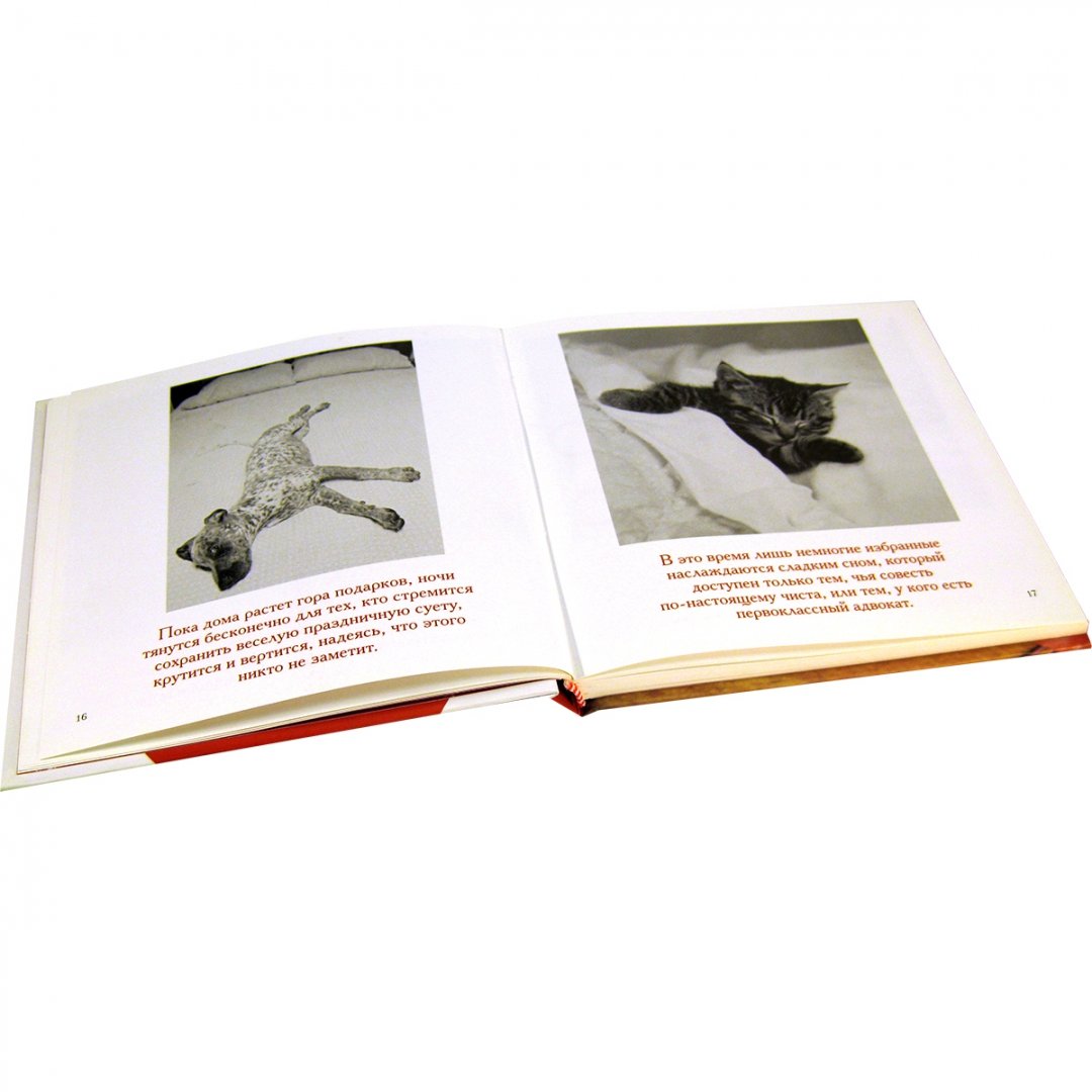 Иллюстрация 22 из 25 для Комплект из 6 подарочных книг Б.Т.Грива (в переплете) - Бредли Грив | Лабиринт - книги. Источник: Лабиринт