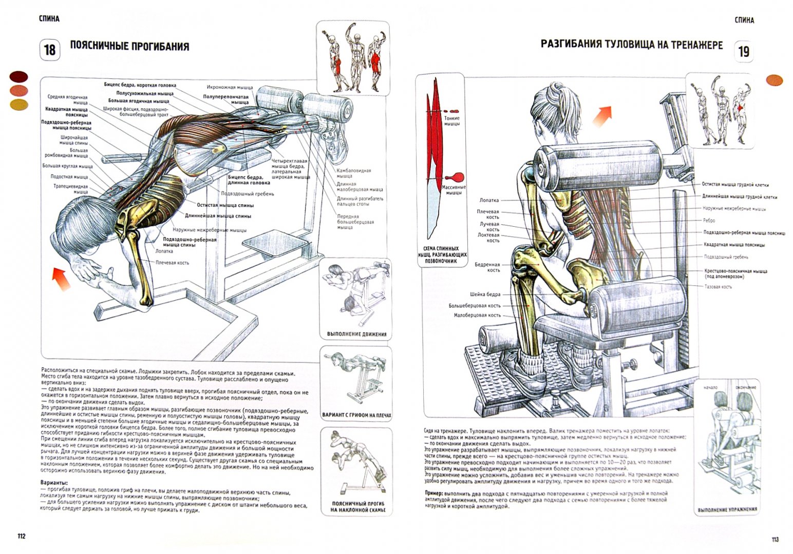 Иллюстрация 1 из 17 для Анатомия силовых упражнений для мужчин и женщин - Фредерик Делавье | Лабиринт - книги. Источник: Лабиринт