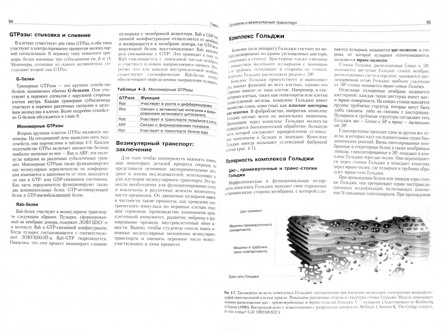 Иллюстрация 1 из 8 для Молекулярная биология клетки. Руководство для врачей - Фаллер, Шилдс | Лабиринт - книги. Источник: Лабиринт