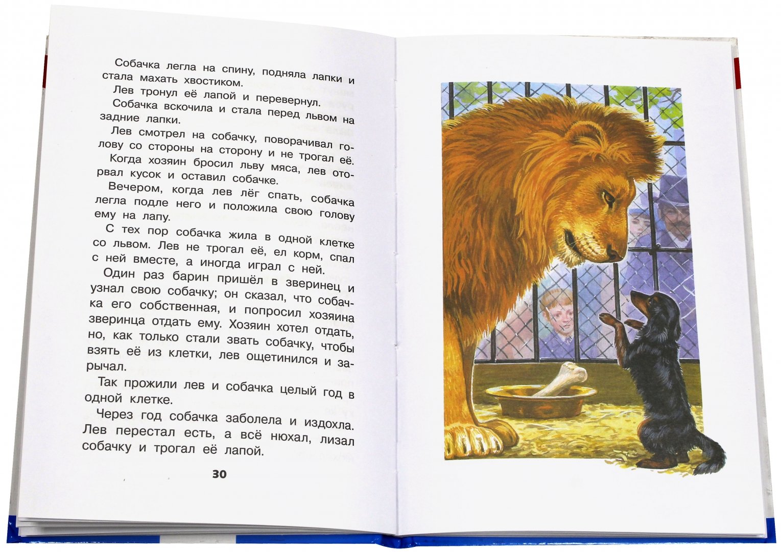 Иллюстрация 2 из 11 для Филипок - Лев Толстой | Лабиринт - книги. Источник: Лабиринт