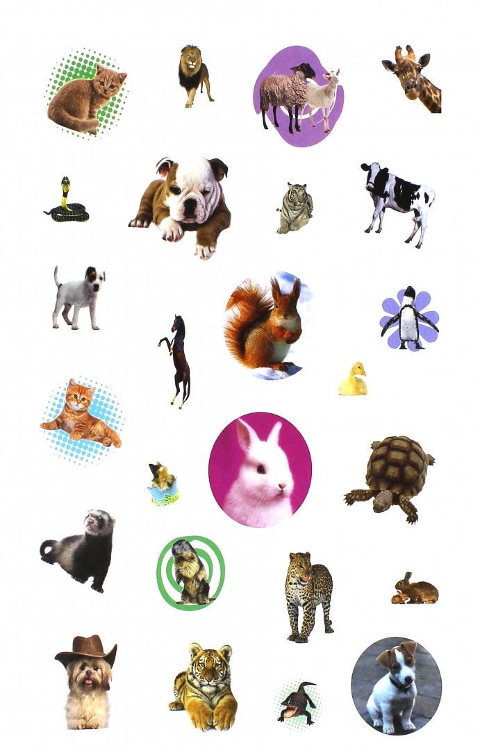 Иллюстрация 1 из 6 для Мои любимые животные | Лабиринт - игрушки. Источник: Лабиринт