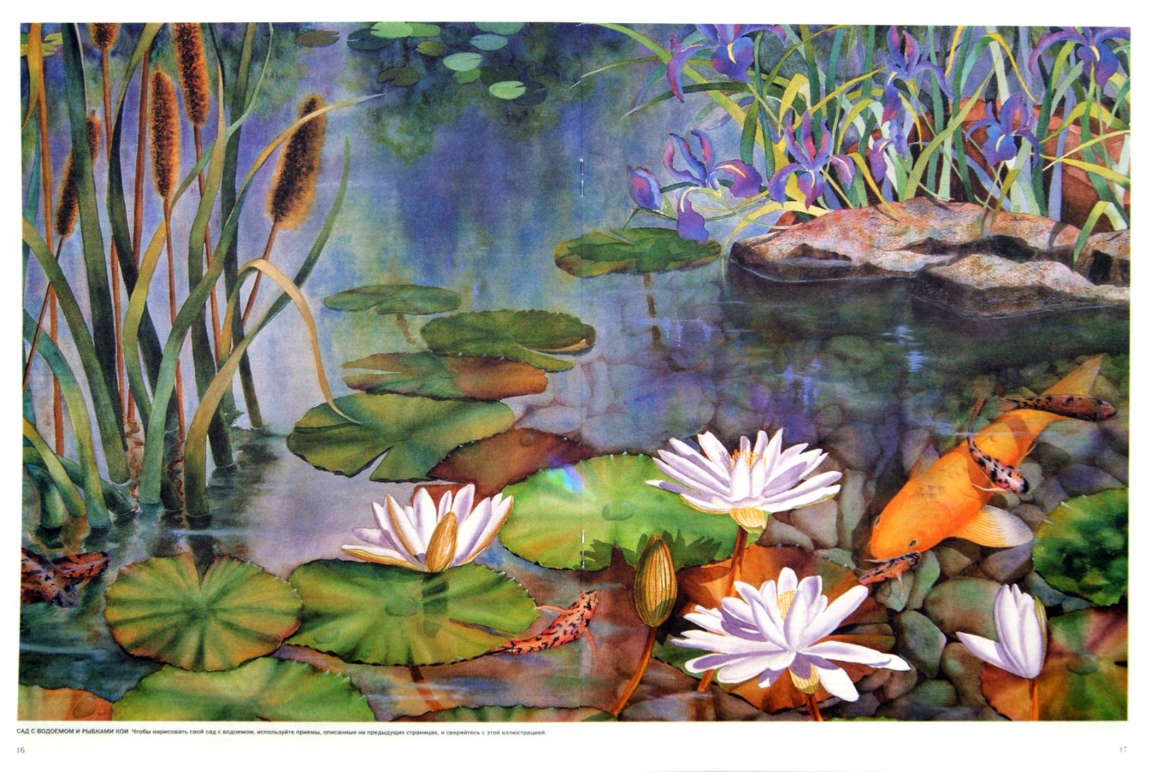 Иллюстрация 1 из 14 для Цветы и растения - Лискотт, Мидвей, Фудерич | Лабиринт - книги. Источник: Лабиринт