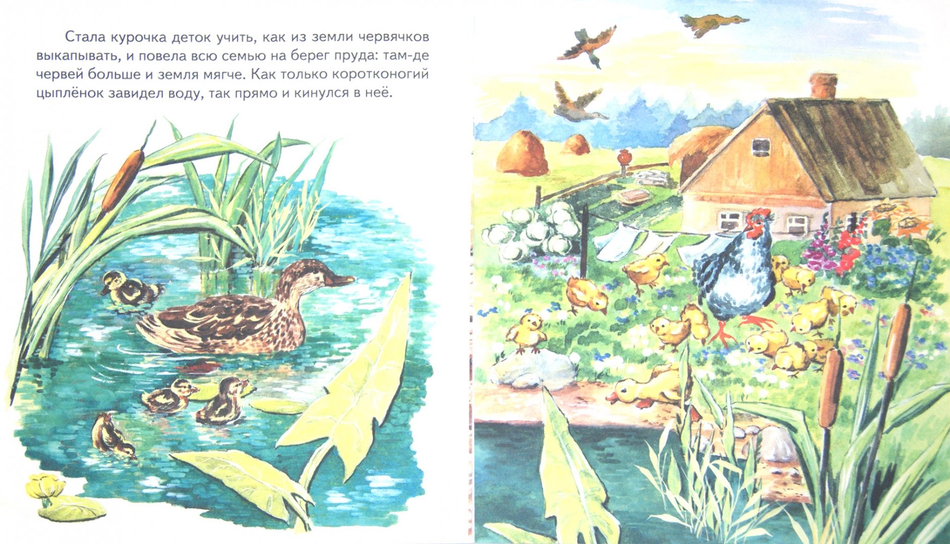 Иллюстрация 1 из 34 для Чужое яичко - Константин Ушинский | Лабиринт - книги. Источник: Лабиринт
