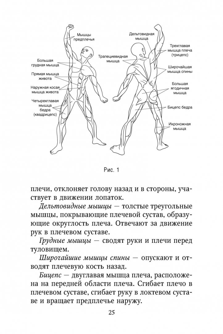 Иллюстрация 2 из 23 для Работа с триггерными точками. Расслабляем мышцы, избавляемся от боли - Игорь Лопатин | Лабиринт - книги. Источник: Лабиринт