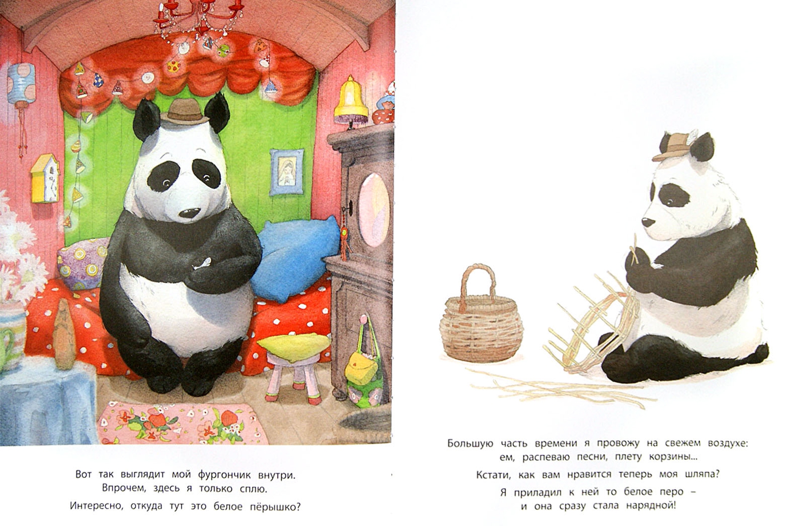 Иллюстрация 1 из 46 для Панда-бродяга - Квентин Гребан | Лабиринт - книги. Источник: Лабиринт