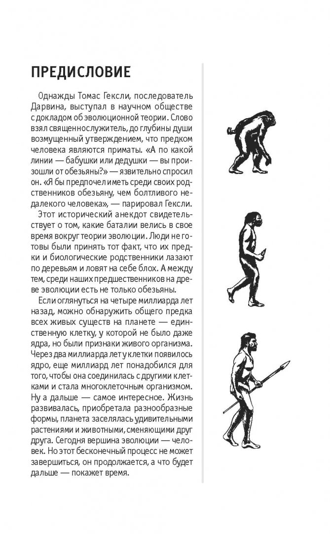 Иллюстрация 6 из 31 для Эволюция. Для тех, кто хочет все успеть | Лабиринт - книги. Источник: Лабиринт