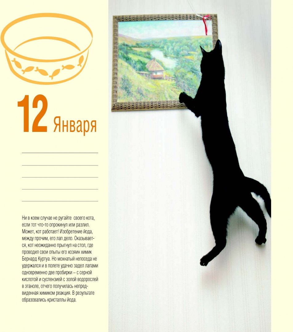 Иллюстрация 13 из 37 для Календарь "Котики. Лучшие кото-фото. 365 дней в году", универсальный - Евгения Гюнтер | Лабиринт - сувениры. Источник: Лабиринт