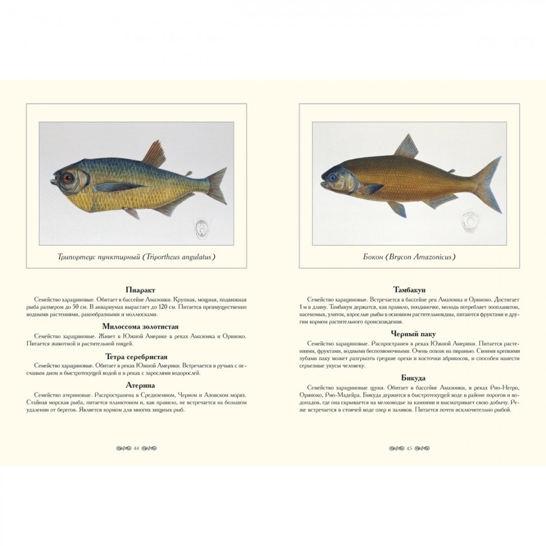 Иллюстрация 2 из 10 для Экзотические рыбы - Луи Агассиз | Лабиринт - книги. Источник: Лабиринт