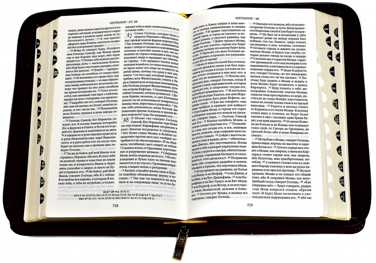 Иллюстрация 1 из 9 для Библия. Книги Священного Писания Ветхого и Нового Завета | Лабиринт - книги. Источник: Лабиринт