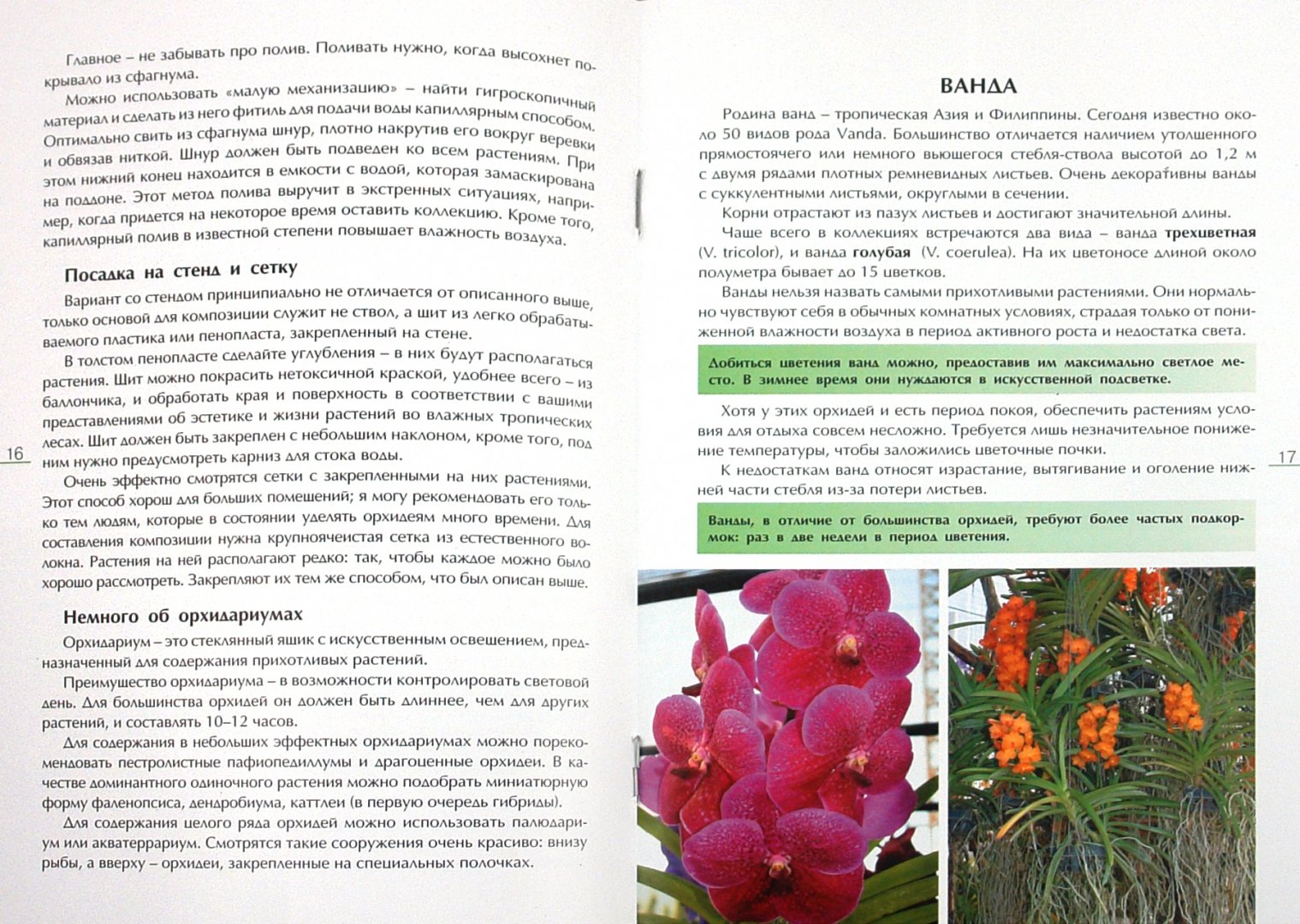 Иллюстрация 1 из 8 для Секреты ухода за орхидеями - Александр Зайцев | Лабиринт - книги. Источник: Лабиринт