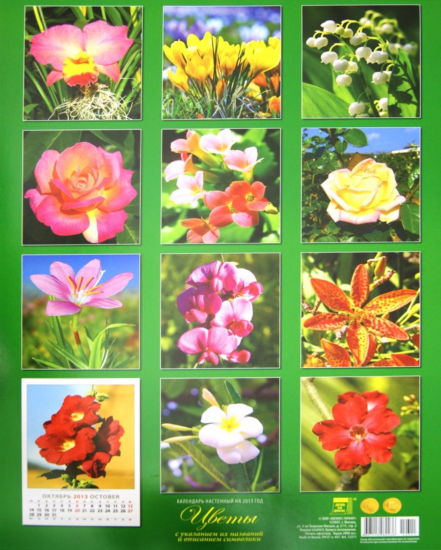 Иллюстрация 1 из 2 для Календарь 2013 "Цветы" (12311) | Лабиринт - сувениры. Источник: Лабиринт