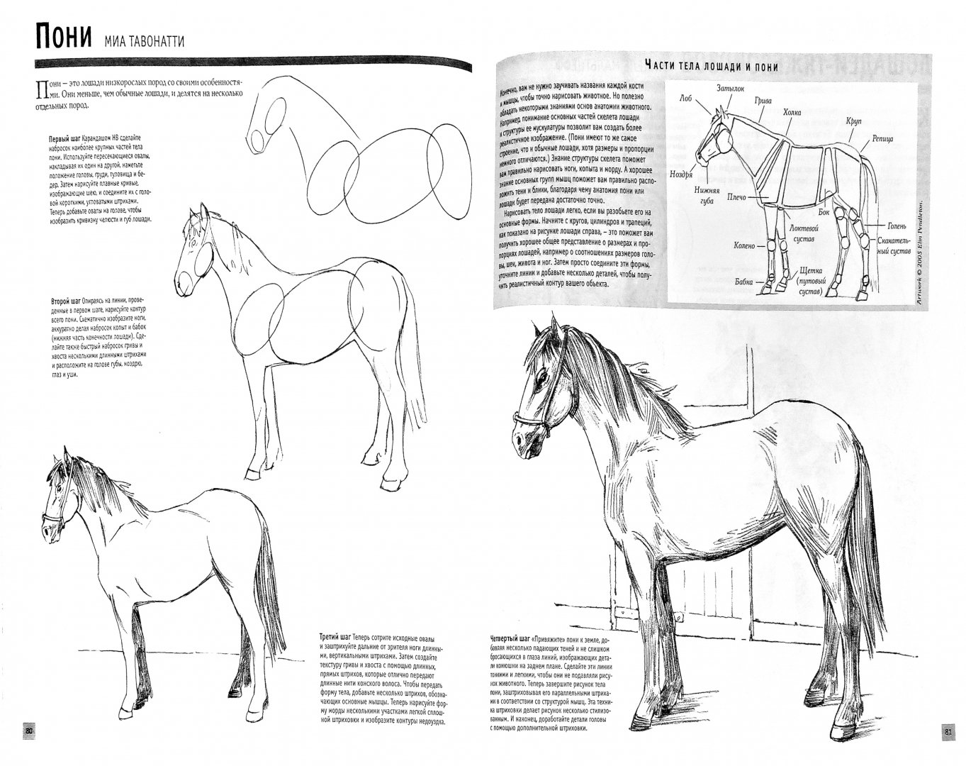 Иллюстрация 2 из 48 для Основы рисования | Лабиринт - книги. Источник: Лабиринт