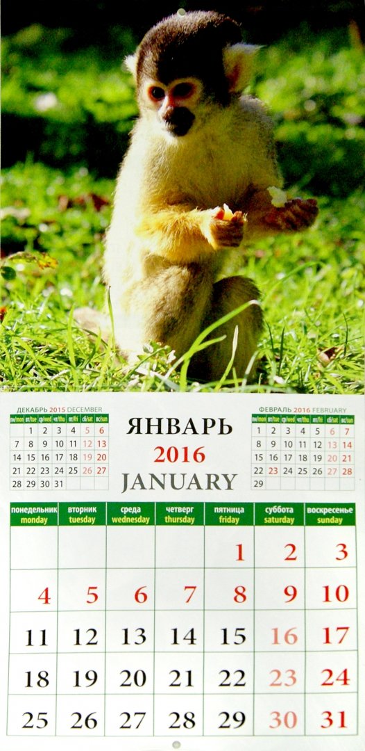 Иллюстрация 1 из 2 для Календарь на 2016. Год обезьяны (45606) | Лабиринт - сувениры. Источник: Лабиринт