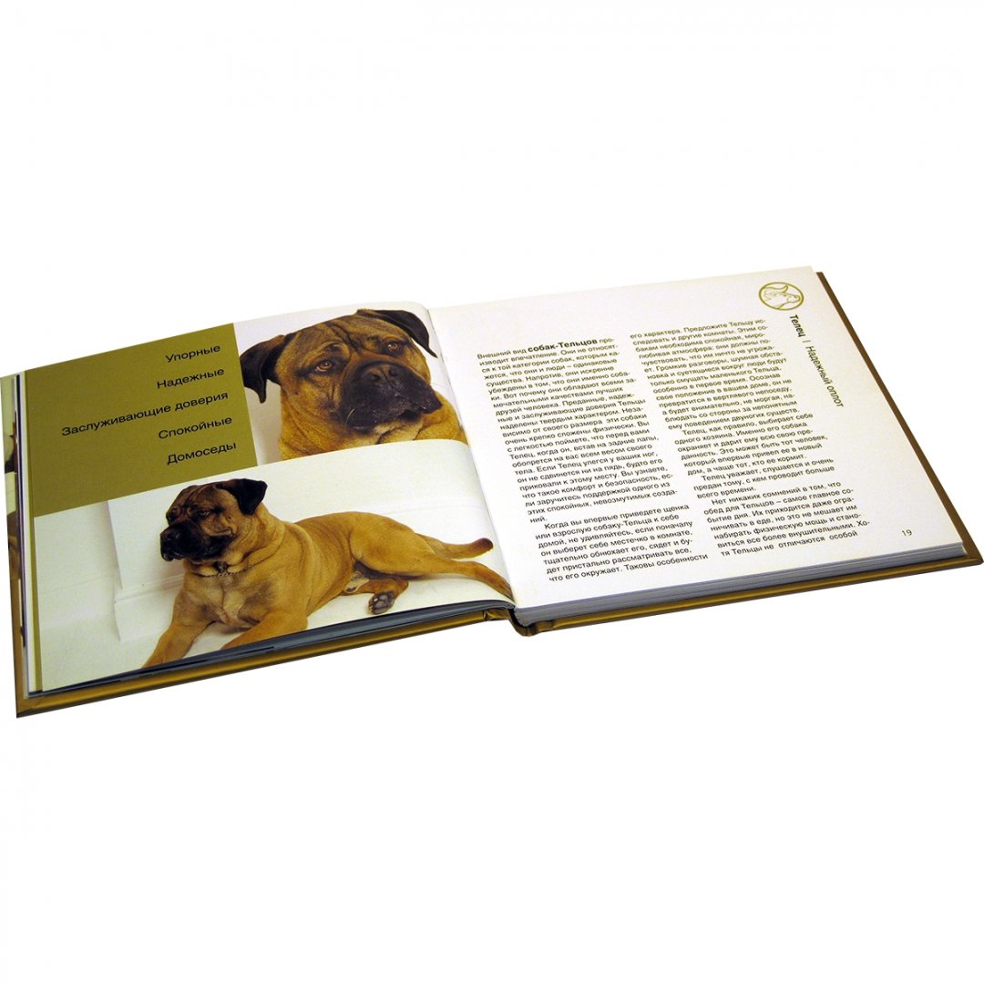Иллюстрация 7 из 27 для Наши лучшие книги о собаках. Комплект из 4-х книг - Сандсмарк, Даймонд, Гринолл, Джейвор, Уитфилд | Лабиринт - книги. Источник: Лабиринт