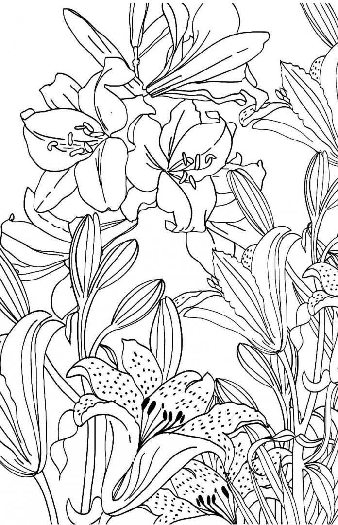 Иллюстрация 8 из 39 для Зачарованный сад. Мини-раскраска-антистресс | Лабиринт - книги. Источник: Лабиринт