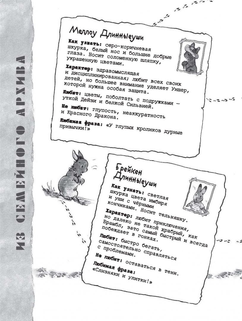 Иллюстрация 7 из 34 для Дикий зверь - Джорджи Адамс | Лабиринт - книги. Источник: Лабиринт