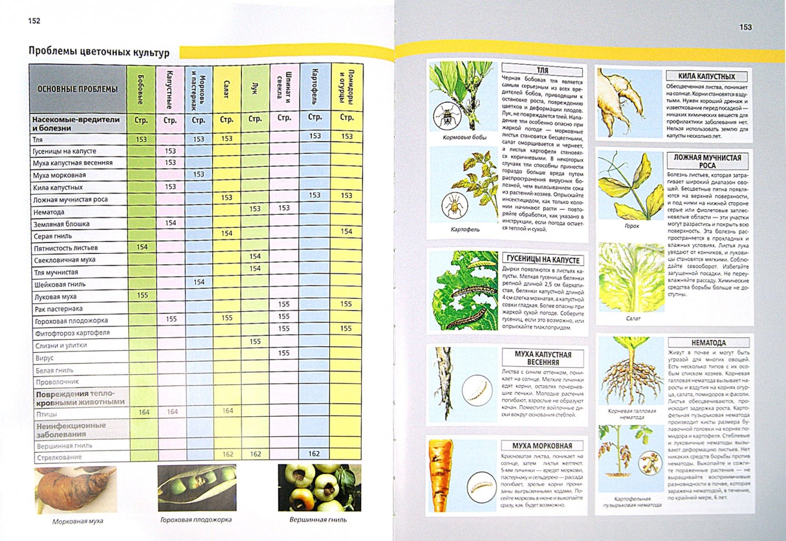 Иллюстрация 3 из 16 для Библия садовода и огородника - Дэвид Хессайон | Лабиринт - книги. Источник: Лабиринт