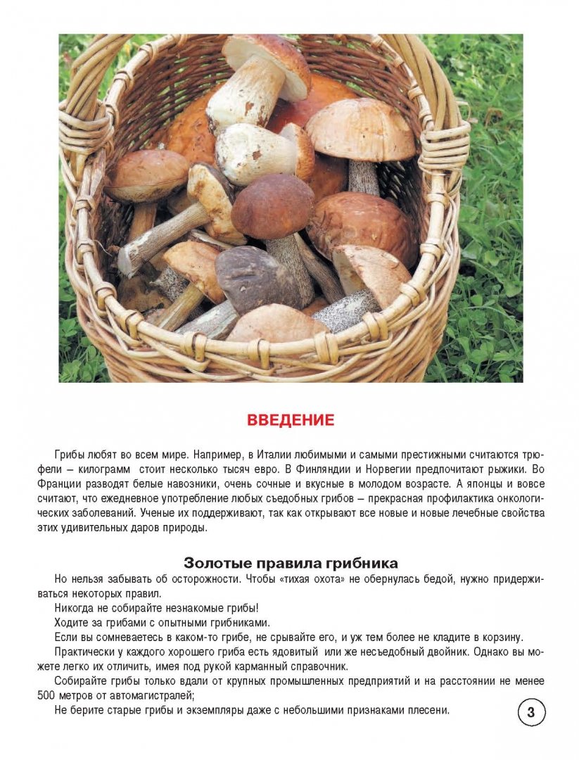 Самые распространенные грибы