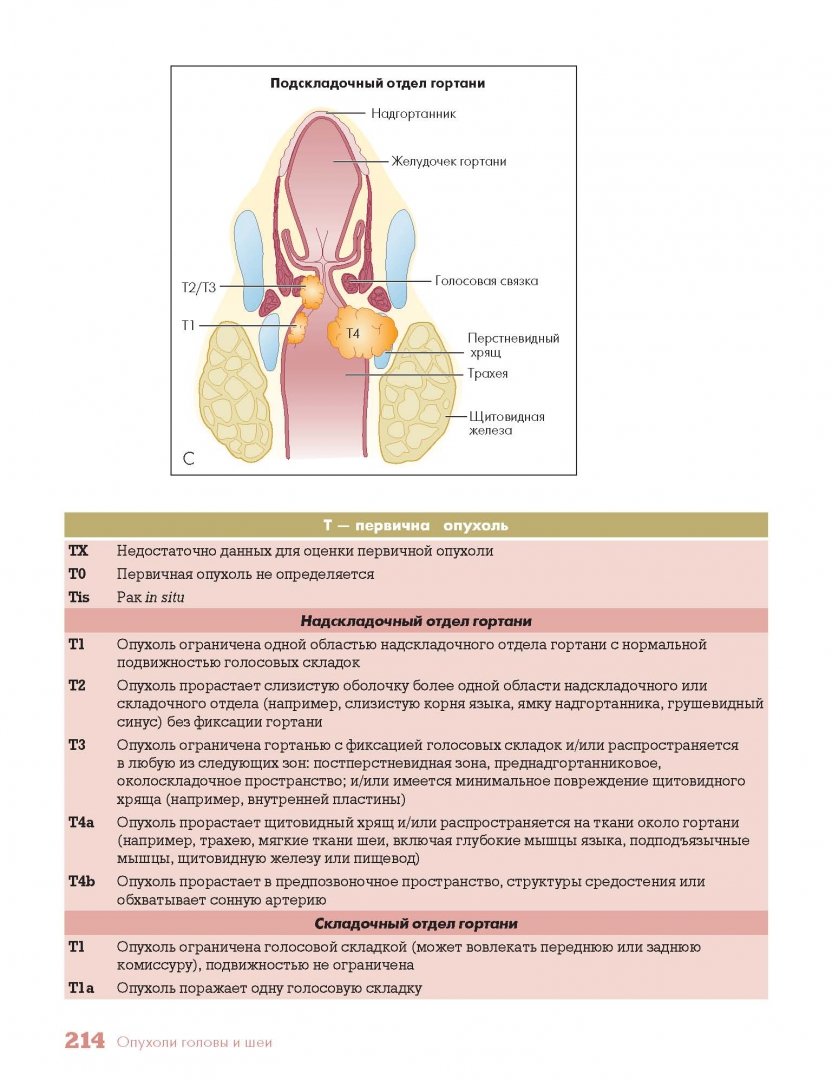 Иллюстрация 10 из 21 для Методы визуализации в онкологии. Стандарты описания опухолей. Цветной атлас - Хричак, Хасбанд, Паничек | Лабиринт - книги. Источник: Лабиринт