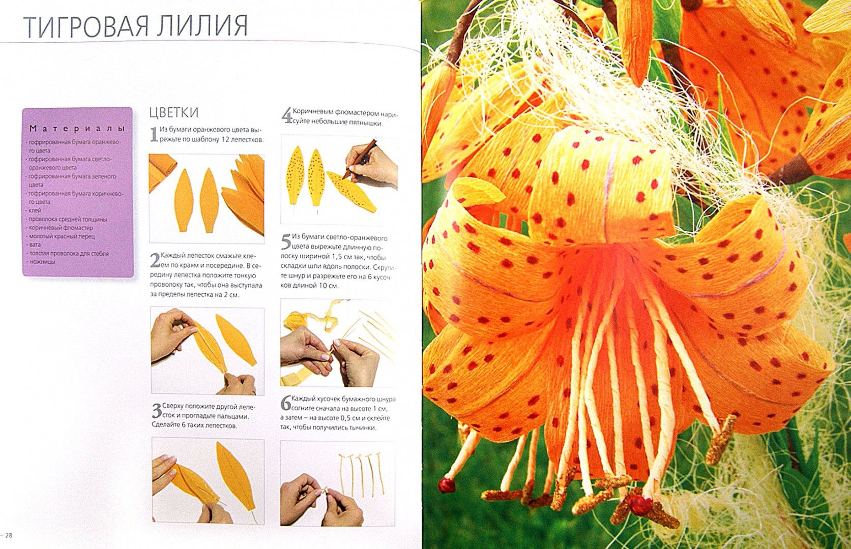 Иллюстрация 1 из 9 для Цветы и букеты из гофрированной бумаги - Агнешка Бойраковска-Пшенесло | Лабиринт - книги. Источник: Лабиринт
