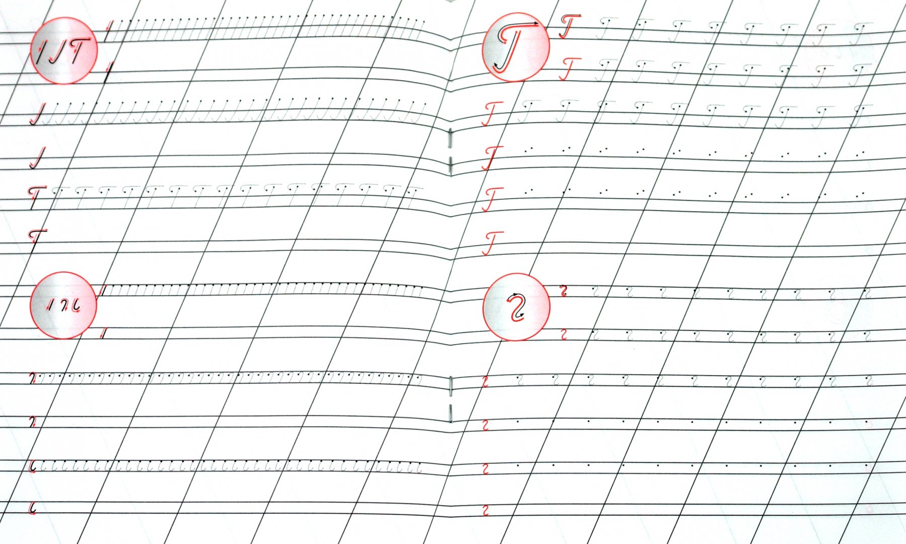 Иллюстрация 1 из 4 для Правильно пишем буквы Б, Д, Я, Г, Ь, Ч, Ш, Ж | Лабиринт - книги. Источник: Лабиринт