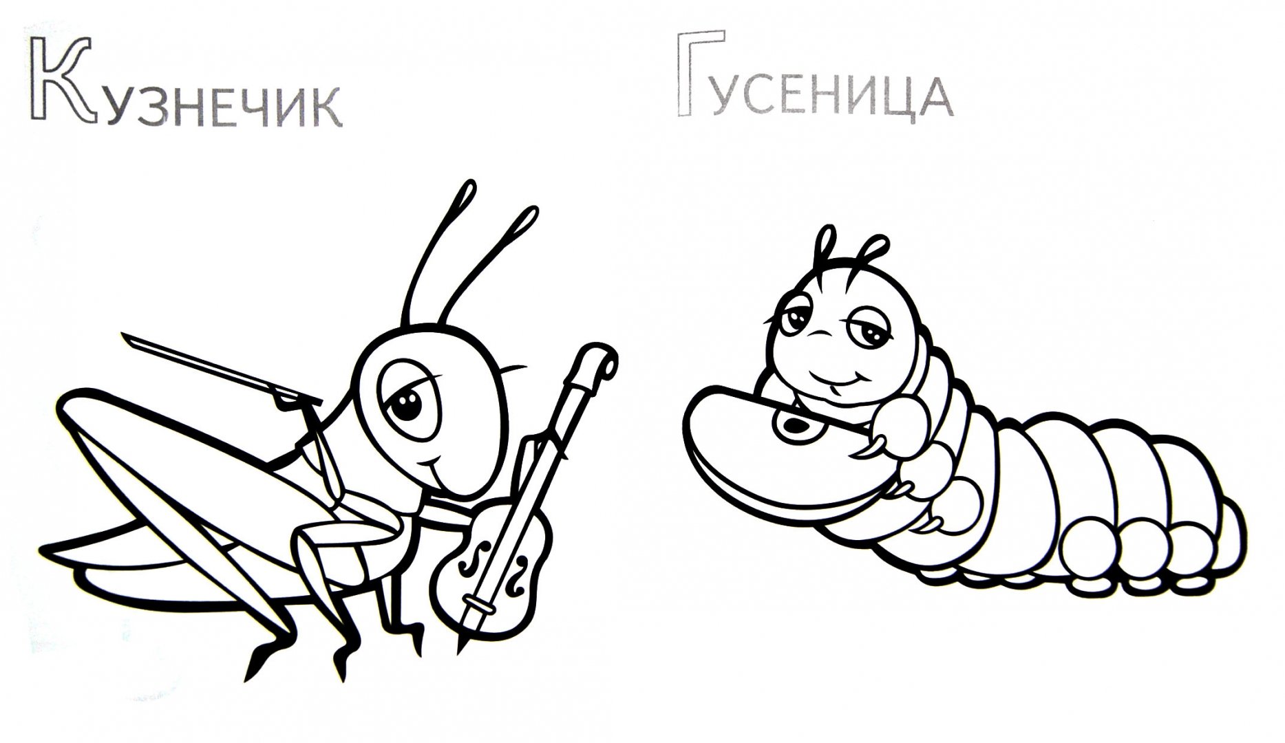 Иллюстрация 1 из 13 для Забавные насекомые | Лабиринт - книги. Источник: Лабиринт