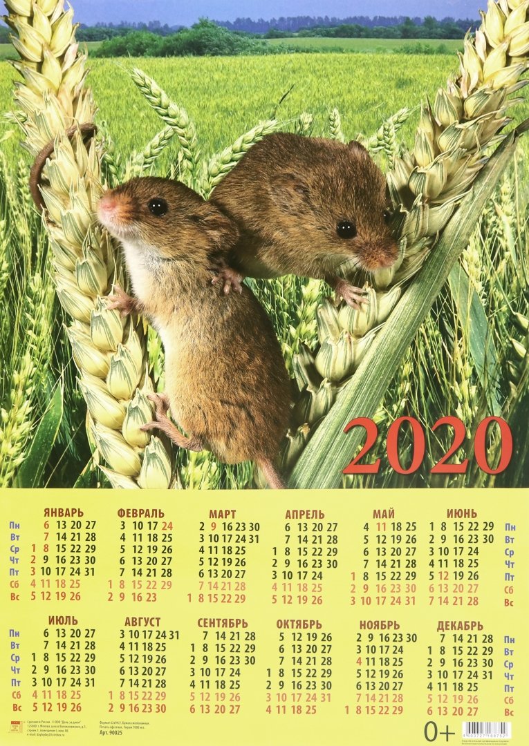 Иллюстрация 1 из 2 для Календарь настенный на 2020 год "Символ года. Забавные мышата" (90025) | Лабиринт - сувениры. Источник: Лабиринт