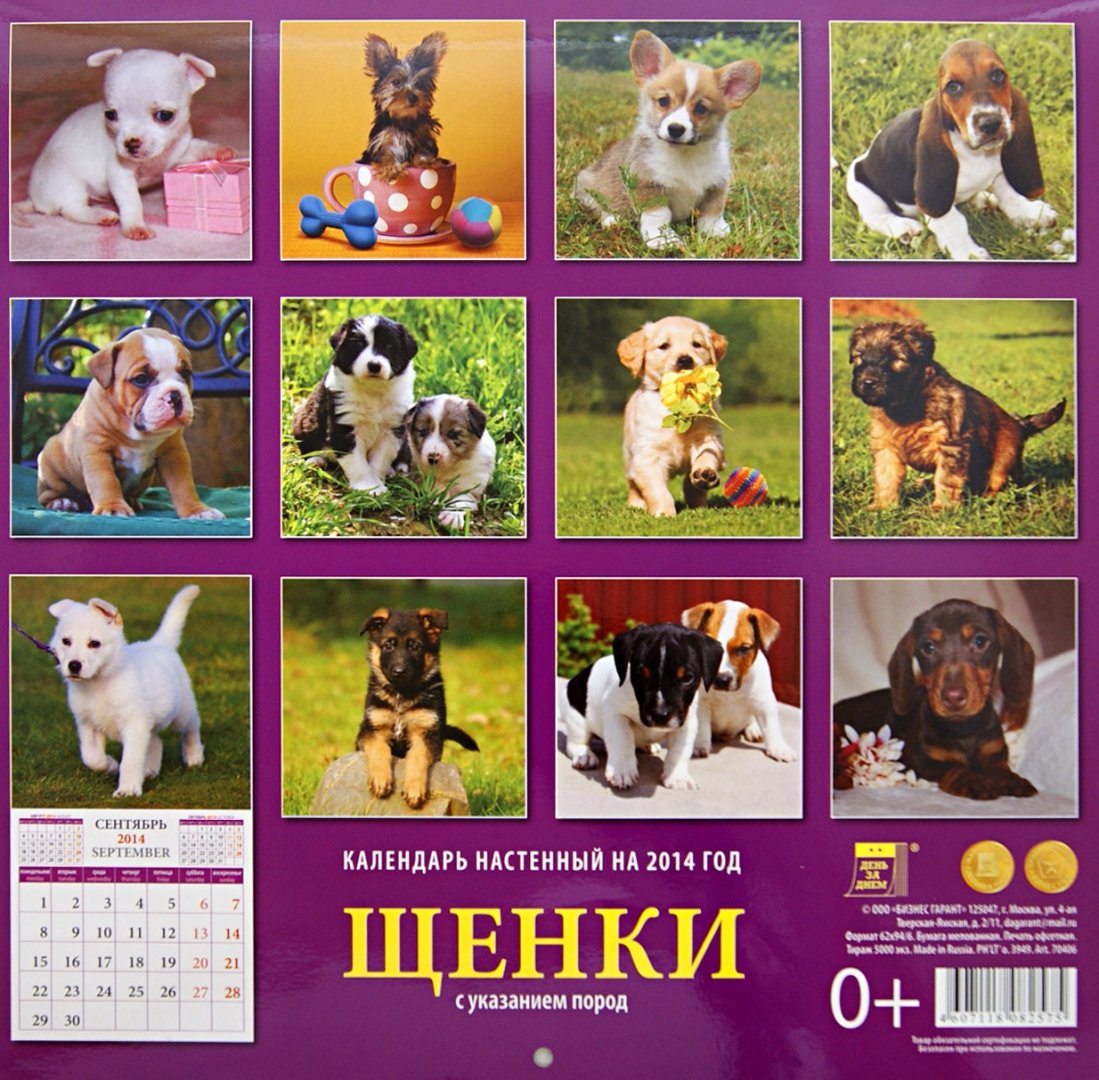 Иллюстрация 2 из 2 для Календарь 2014 "Щенки" (70406) | Лабиринт - сувениры. Источник: Лабиринт