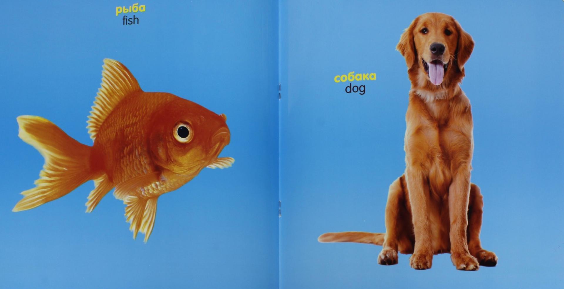 Иллюстрация 1 из 10 для Зверушки, рыбки и птички (для детей от 0 до 18 месяцев) | Лабиринт - книги. Источник: Лабиринт