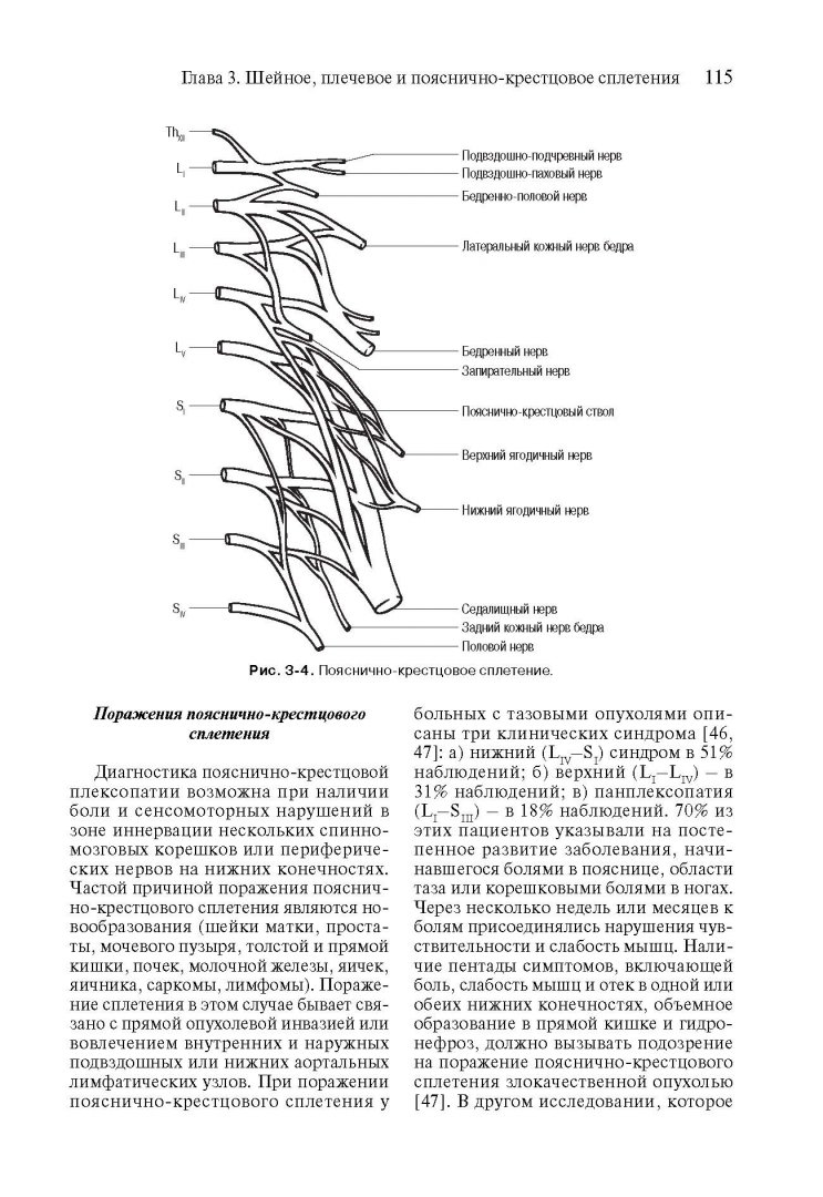 Иллюстрация 15 из 25 для Топическая диагностика в клинической неврологии - Биллер, Бразис, Мэсдью | Лабиринт - книги. Источник: Лабиринт