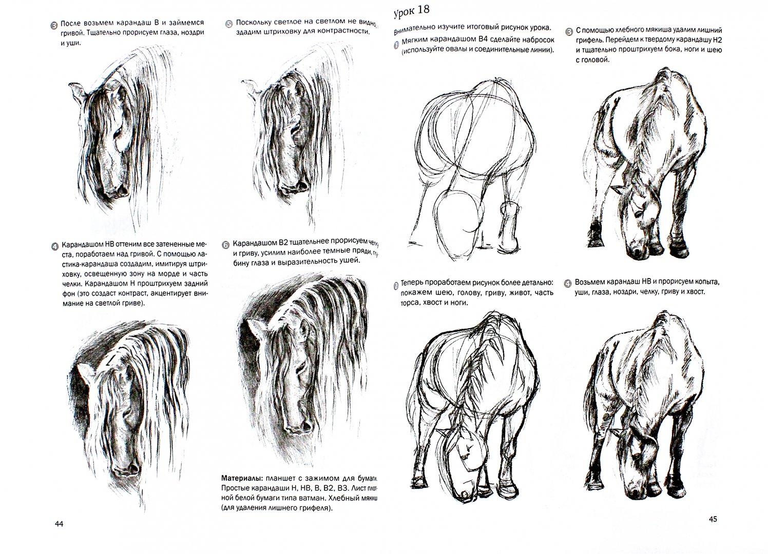 Иллюстрация 1 из 13 для Пошаговые уроки рисования. Рисуем лошадей - Виктория Мазовецкая | Лабиринт - книги. Источник: Лабиринт