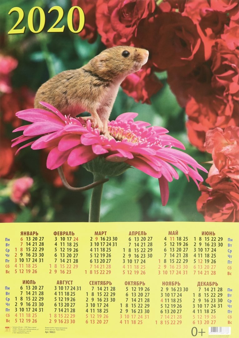 Иллюстрация 1 из 4 для Календарь настенный на 2020 год "Символ года. Вдыхая аромат цветов" (90023) | Лабиринт - сувениры. Источник: Лабиринт