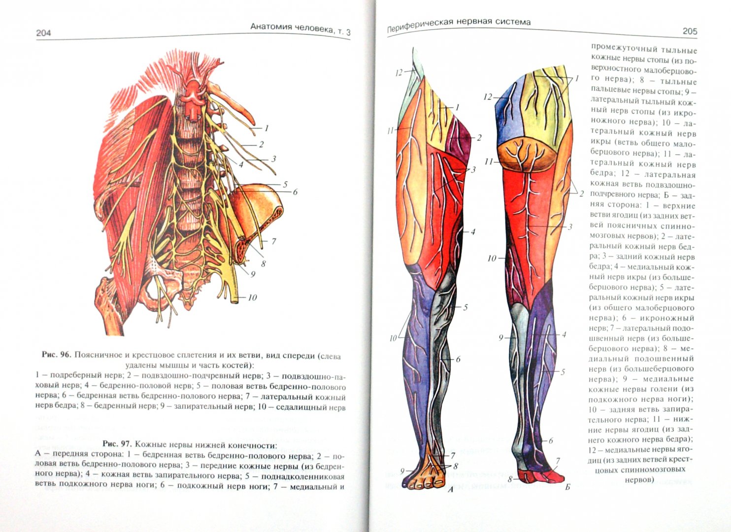 Иллюстрация 1 из 22 для Анатомия человека: учебник в 3-х томах. Том 3 - Сапин, Билич | Лабиринт - книги. Источник: Лабиринт