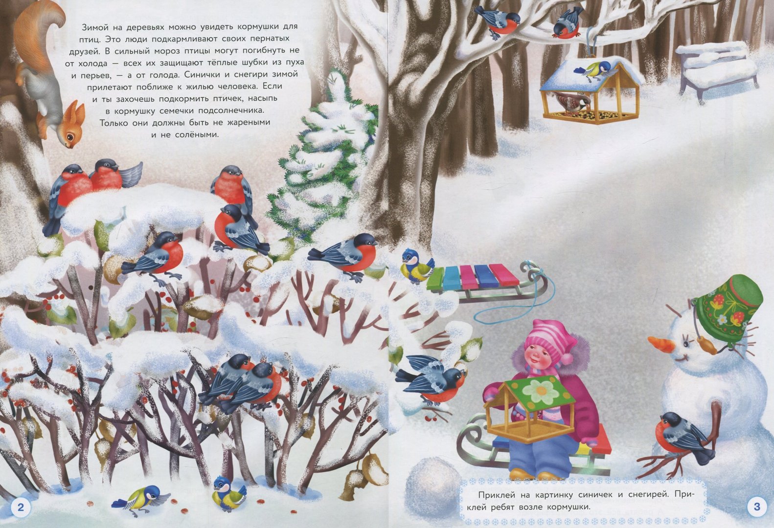 Иллюстрация 1 из 13 для Многоразовые наклейки. Птички зимой - О. Александрова | Лабиринт - игрушки. Источник: Лабиринт