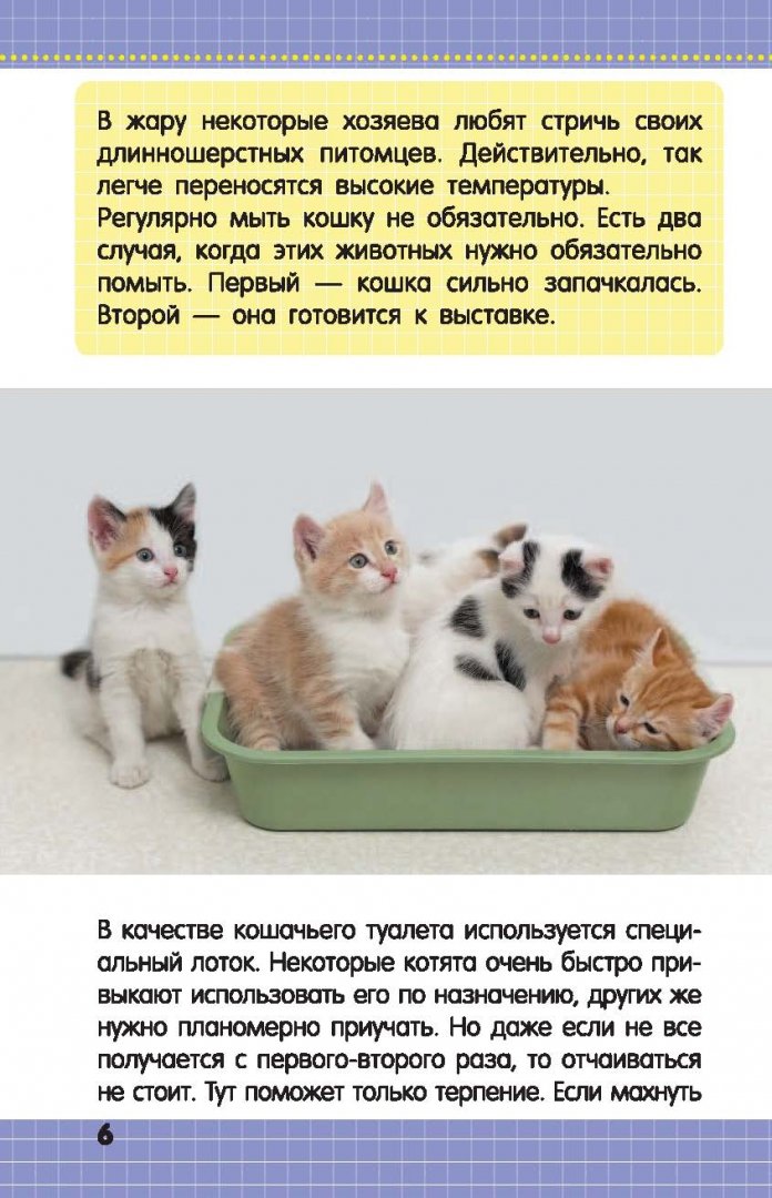 Иллюстрация 6 из 13 для Кошки и котята - Смирнов, Хомич | Лабиринт - книги. Источник: Лабиринт
