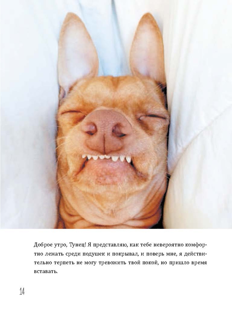 Иллюстрация 12 из 18 для Туна. История собаки-улыбаки - Кортни Дашер | Лабиринт - книги. Источник: Лабиринт