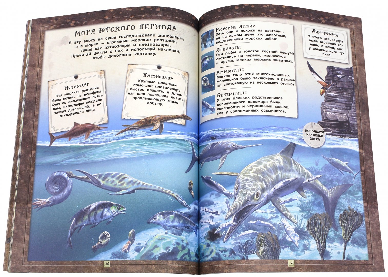 Иллюстрация 4 из 42 для Занимательная зоология. Динозавры - Полли Чизман | Лабиринт - книги. Источник: Лабиринт