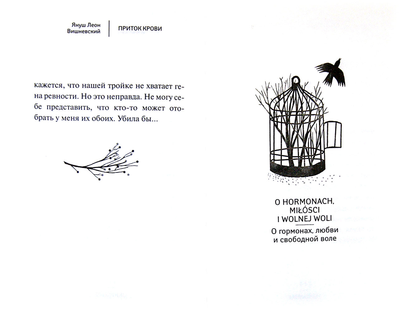Иллюстрация 1 из 28 для Притоки крови - Януш Вишневский | Лабиринт - книги. Источник: Лабиринт