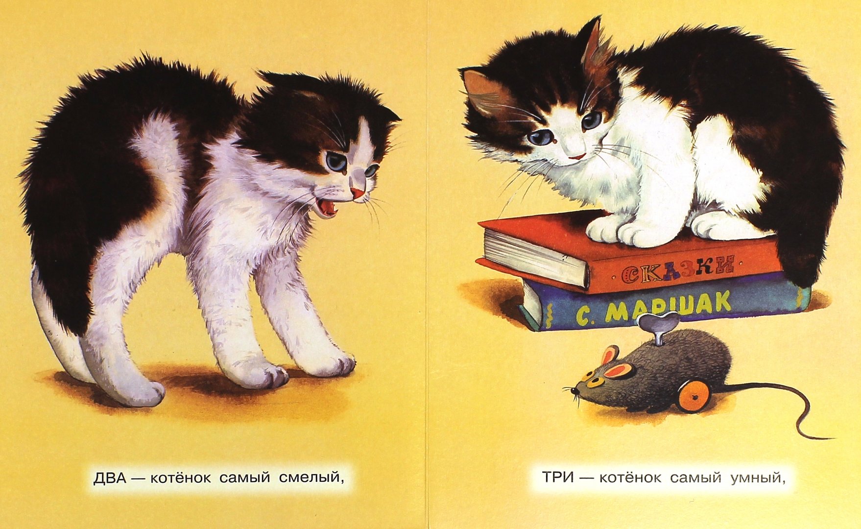 Кот 2 собираем слова. Считалка котята Михалков. Михалков считалочка котята. Михалков с. "котята".