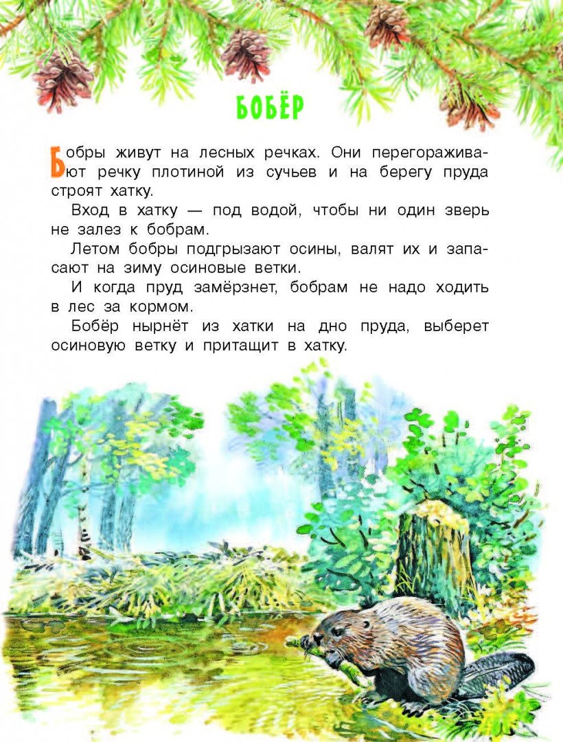 Иллюстрация 4 из 36 для Про птиц и зверей - Геннадий Снегирев | Лабиринт - книги. Источник: Лабиринт
