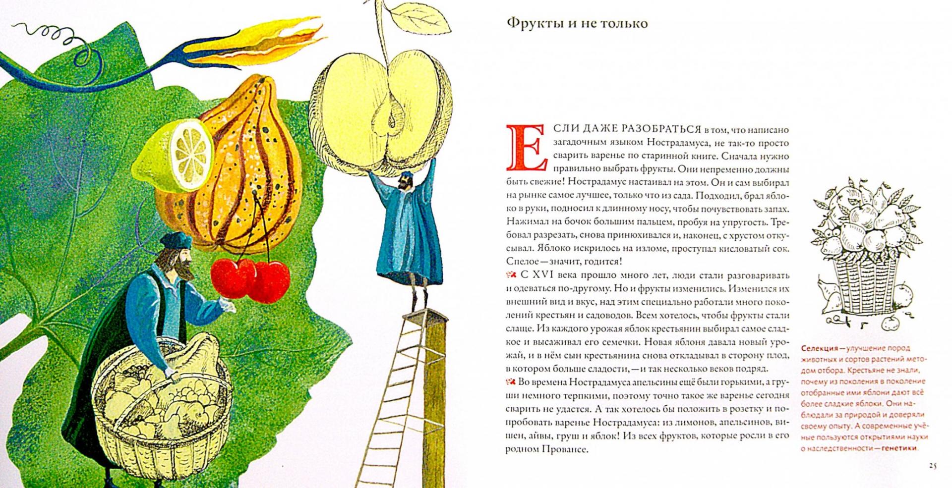 Иллюстрация 1 из 17 для Варенье Нострадамуса - Певзнер, Марамзина | Лабиринт - книги. Источник: Лабиринт
