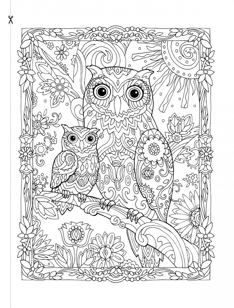 Иллюстрация 4 из 21 для Совушки. Раскраска (обложка для раскрашивания) | Лабиринт - книги. Источник: Лабиринт